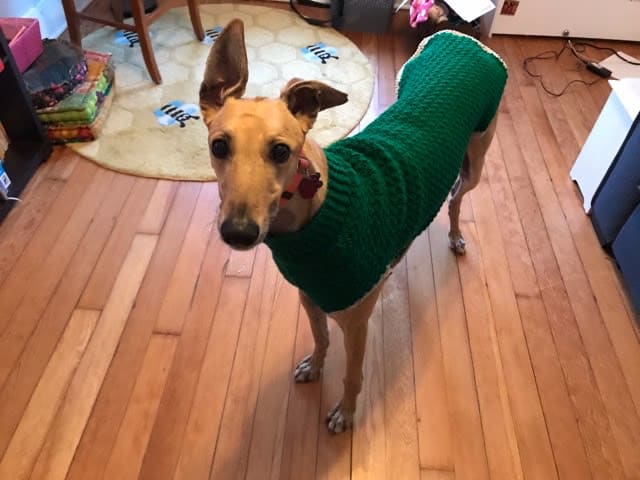 Kenny in is new sweater