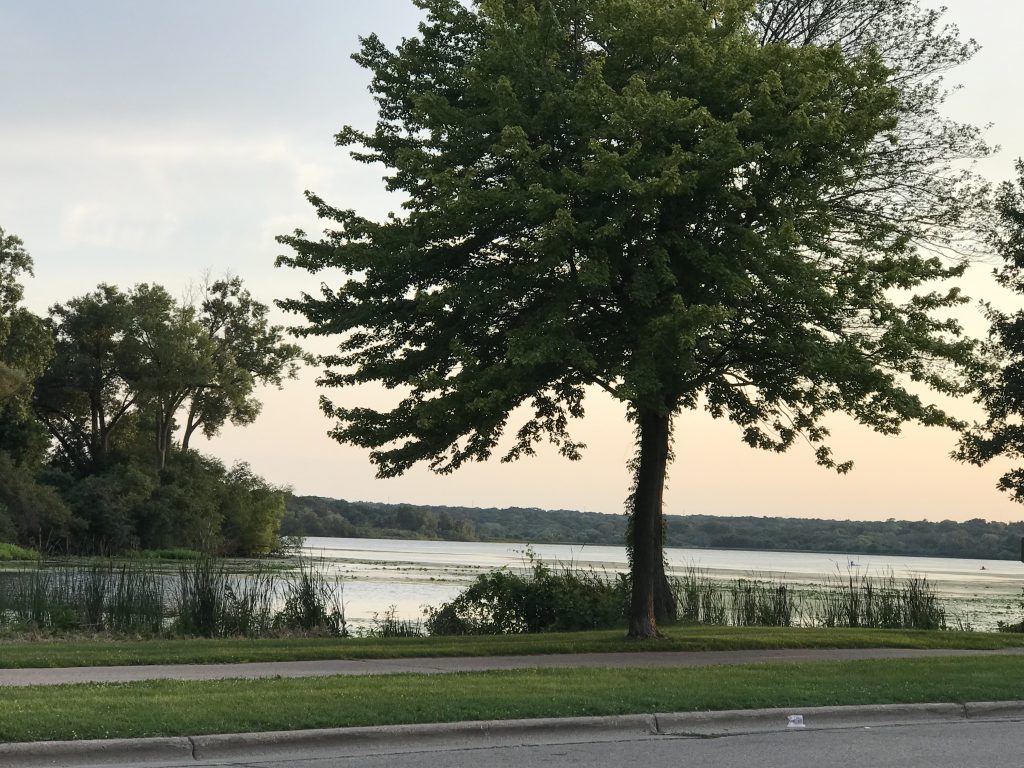 Lake wingra at dusk
