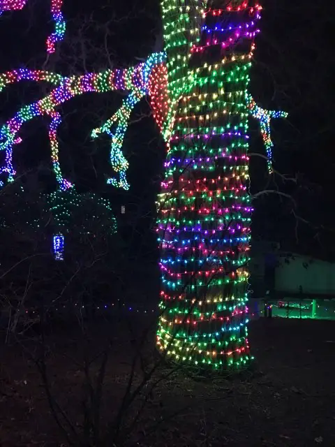 christmas lights at zoo lights